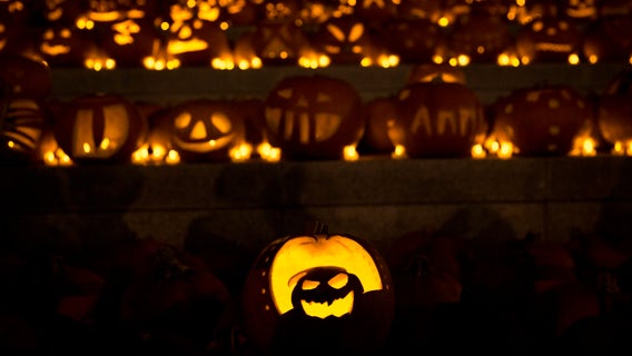 Detroit releases best practices for celebrating Halloween safely this year