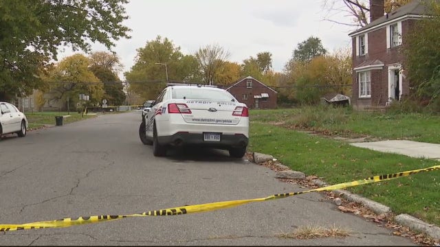 Detroit 2-year-old girl attacked by unknown dog that entered home, hurt when dad shoots dog