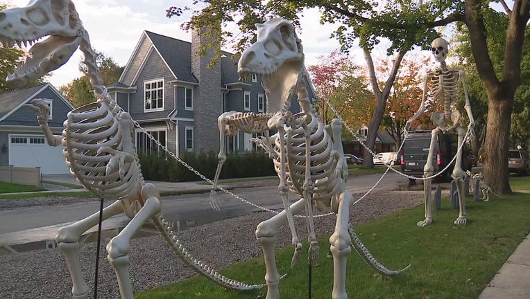 A 12-foot skeleton stands in a front lawn, walking two larger-than-life dinosaur skeletons
