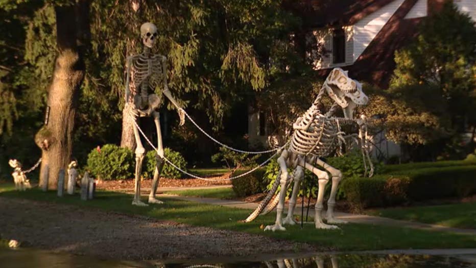 A 12-foot skeleton stands in a front lawn, walking two larger-than-life dinosaur skeletons
