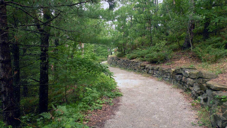 A section of the Huron-Manistee National Forest