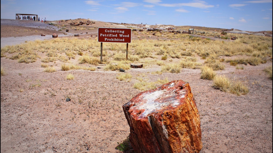 Petrified Forest National Park