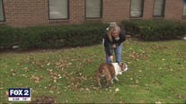 Detroit Dog Rescue Raising money for new headquarters
