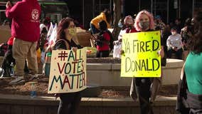 Metro Detroiters march to celebrate Joe Biden’s election