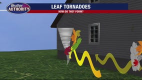 Explaining 'leaf tornadoes' and how they form