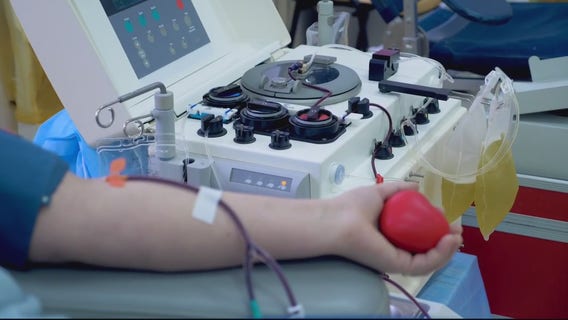 Covid plasma trials underway at Wayne State, paid volunteers needed