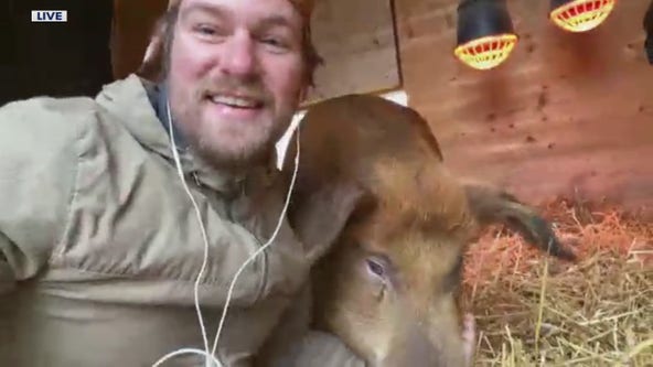 Friday Farm Field Trip to the Barn Sanctuary