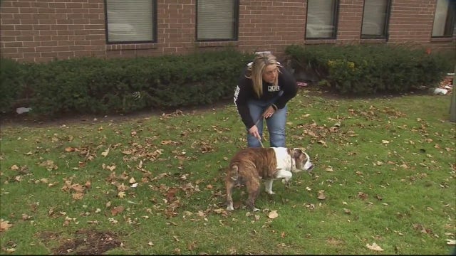 Detroit Dog Rescue needs help to rehab future new headquarters on city's west side