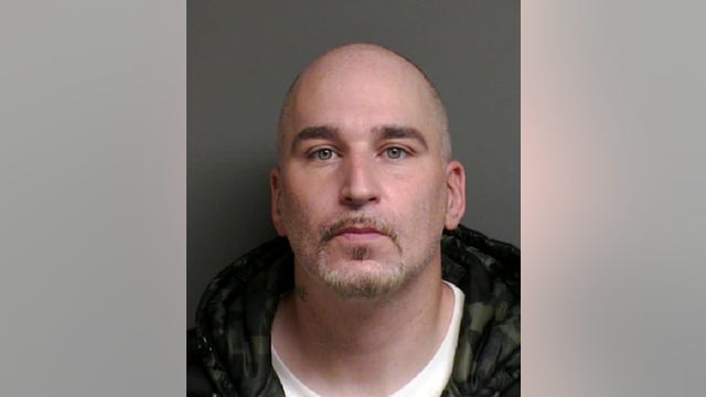 Man faces felony abuse for shooting stray kitten with BB gun in Macomb County