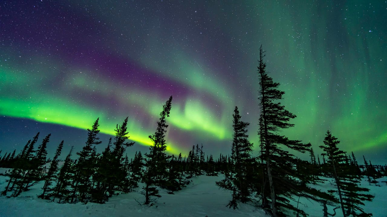 aurora watch michigan