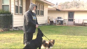 Waterford man has two of his dogs shot randomly out in his yard