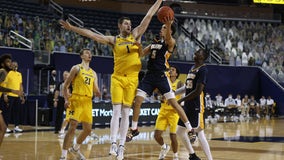 Dickinson's 18 leads Michigan past Toledo 91-71