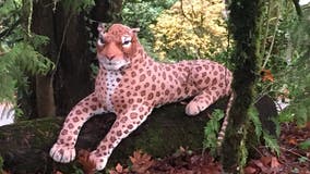 Deputies respond to cheetah sighting in Oregon that turned out to be stuffed animal