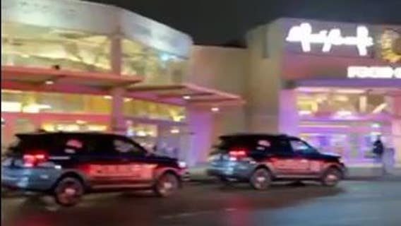 Dearborn police investigate report of shooting at Fairlane mall