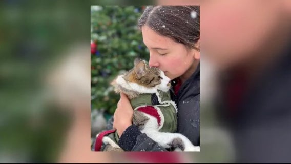 Ferndale Cat Shelter awarded $50K grant after 13-year-old's essay