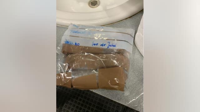 Biological samples intercepted at Metro Airport from Polish infectious disease scholar