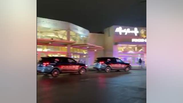 Dearborn police investigate report of shooting at Fairlane mall