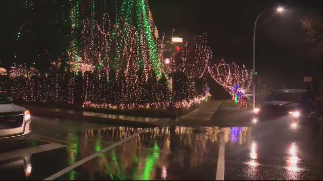 Woman hit by car looking at Christmas lights display in Grosse Pointe