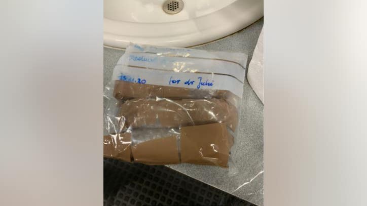 Biological samples intercepted at Metro Airport from Polish infectious disease scholar - Vimarsana News