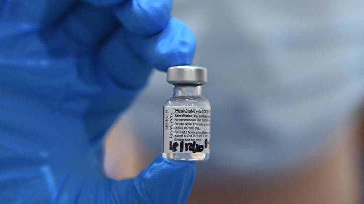 Michigan's vaccine plan, Dearborn man reunites homeless woman with family, GOP throw support behind Texas suit - Vimarsana News
