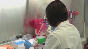 Michigan reports 445 COVID-19 cases on Saturday, 1 new death