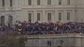 Michigan residents at Trump rally talk about event descending into bedlam