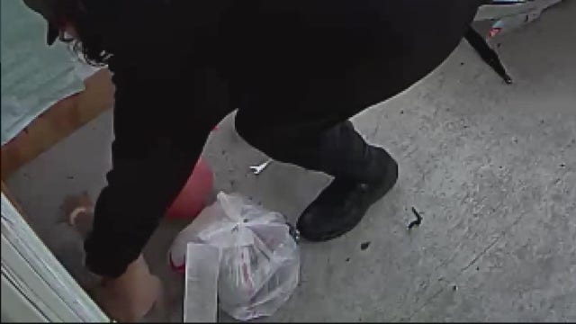 Door Dash driver steals puppy from Warren family on camera