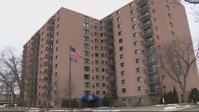 8-year-old girl shot in the head; 20-year-old brother in custody