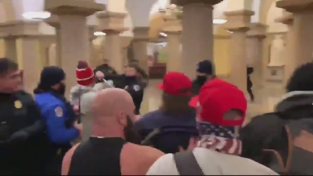 DPD Chief Craig slams Capitol Police handling of pro-Trump rally that turned into riot