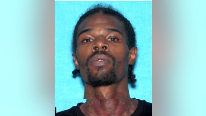 Detroit police looking for man who shot his father's dog to death - Vimarsana News