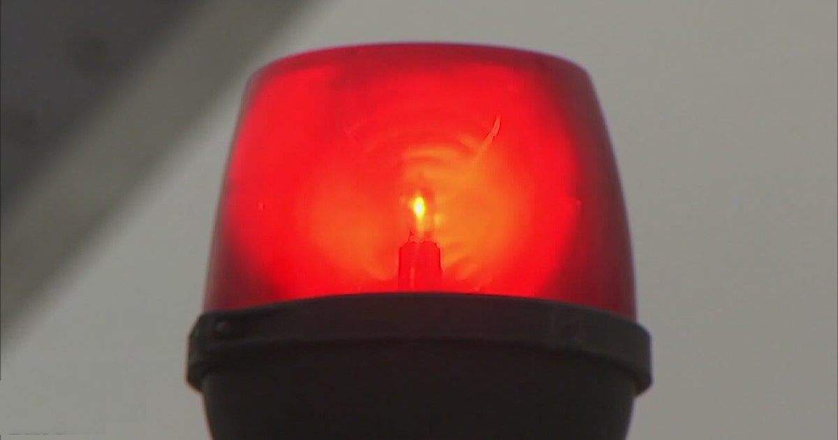 Grosse Ile officials rescue dog that was found standing on the iced-over Detroit River