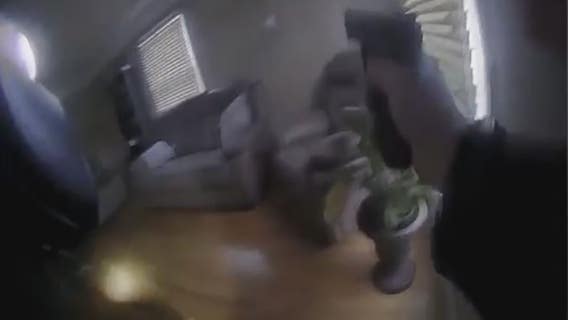 Detroit police officers awarded for heroism after stopping domestic abuse attack on east side