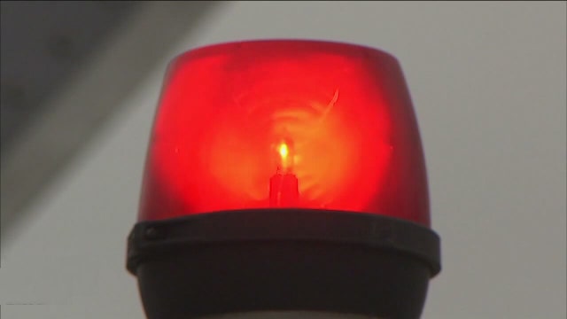 Grosse Ile officials rescue dog that was found standing on the iced-over Detroit River