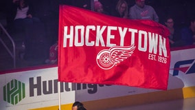 Red Wings score 3 in 3rd period to surge past Jackets 4-1