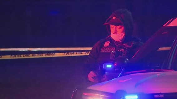 Pandemic, anti-police rhetoric has led to rise in violence against cops, says DPD chief