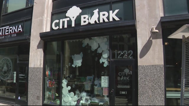 Detroit pet shop, groomer team up to offer grooming services