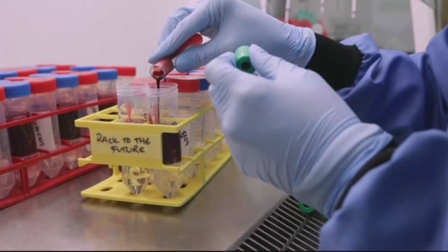 Michigan doctors studying B.1.1.7 COVID-19 variant as cases increase