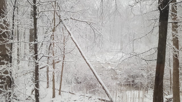 Chesterfield woman killed after being hit by two cars, ejected from snow mobile