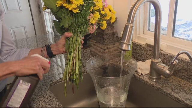 Make a bouquet of cut flowers last longer