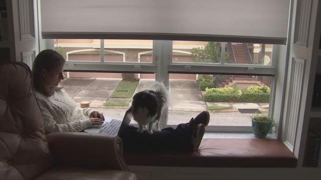 Will workers return to office after COVID-19 leaves Detroit buildings empty?