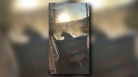 'It’s just having a blast': Black bear soaks in hot tub in the Great Smoky Mountains