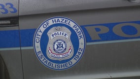 Appliance thieves target vacant Hazel Park homes