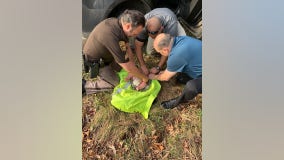 Baby rescued after being found in Michigan woods