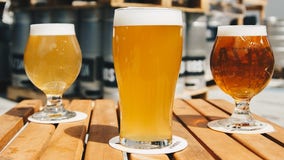 Enjoy a brew at these 2021 craft beer festivals in Michigan