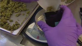 Detroit's legacy residency rule for new pot shops faces lawsuit questioning its legality