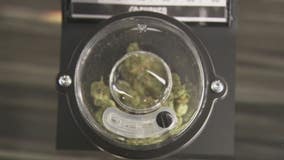 Shango Hazel Park recreational marijuana store opens 'crown jewel' of locations