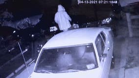 Cremains of loved one is stolen after thieves take Warren family's minivan