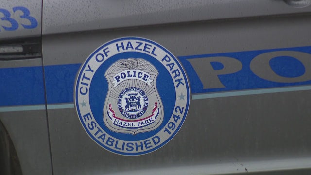 Appliance thieves target vacant Hazel Park homes