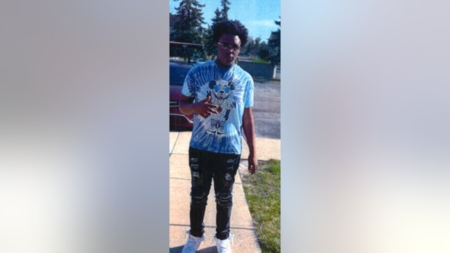 Detroit police seek 15-year-old boy missing from city's east side