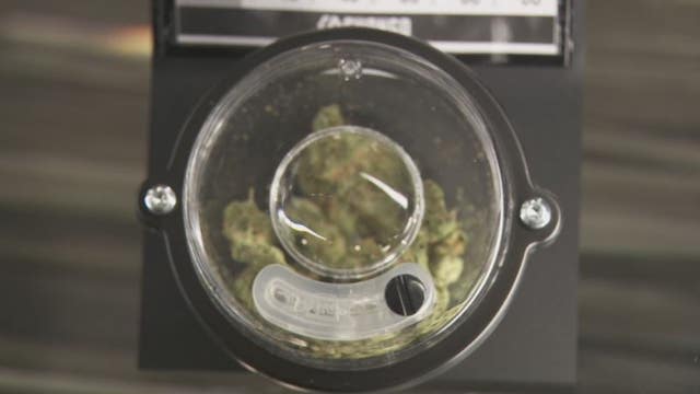 Shango Hazel Park recreational marijuana store opens 'crown jewel' of locations